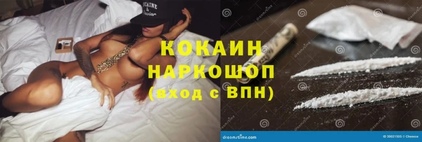 сатива Липки