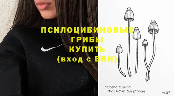 сатива Липки