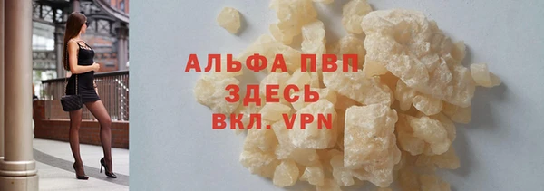 сатива Липки