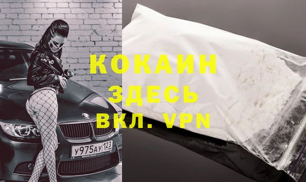 сатива Липки