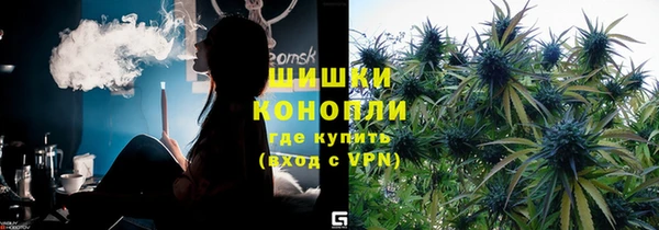 сатива Липки