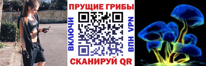 Купить закладки  Чишмы  Псилоцибиновые грибы Cubensis 